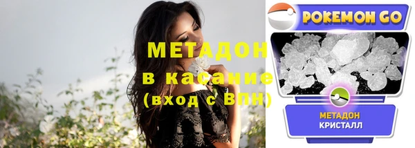 индика Осинники