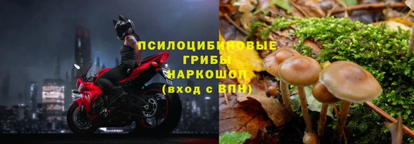 Альфа ПВП Лихославль
